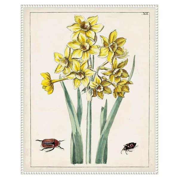 Amanti Art Dutch Florals III 23 in. W x 28 in. H. Canvas Wall Art Print Framed in White