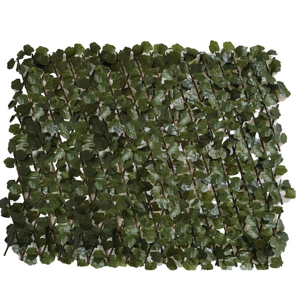 Unbranded 32 in. W x 50 in. H Fold Single Side Expandable Faux Hedge Artificial Ivy Fencing (1-Pack)