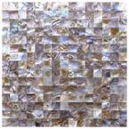 12 in. x 12 in. Colorful Mother of Pearl Backsplash Mosaic Tile