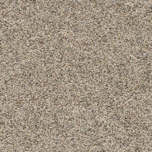 Whispers  - Unwind - Beige 38 oz. SD Polyester Texture Installed Carpet
