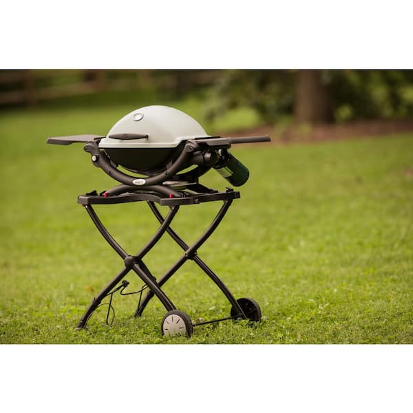 Weber Q 1200 1-Burner Portable Tabletop Propane Gas in Titanium with Built-In Thermometer 51060001 - Home
