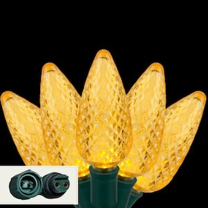 24 ft. 25-Light LED Gold Commercial C9 String Lights with Watertight Coaxial Connectors