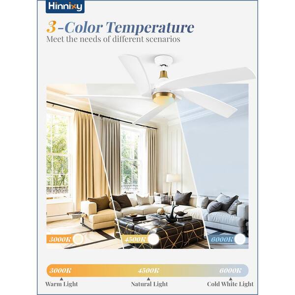 HINNIXY 60 in. Integrated LED Indoor/Outdoor White Gold 5