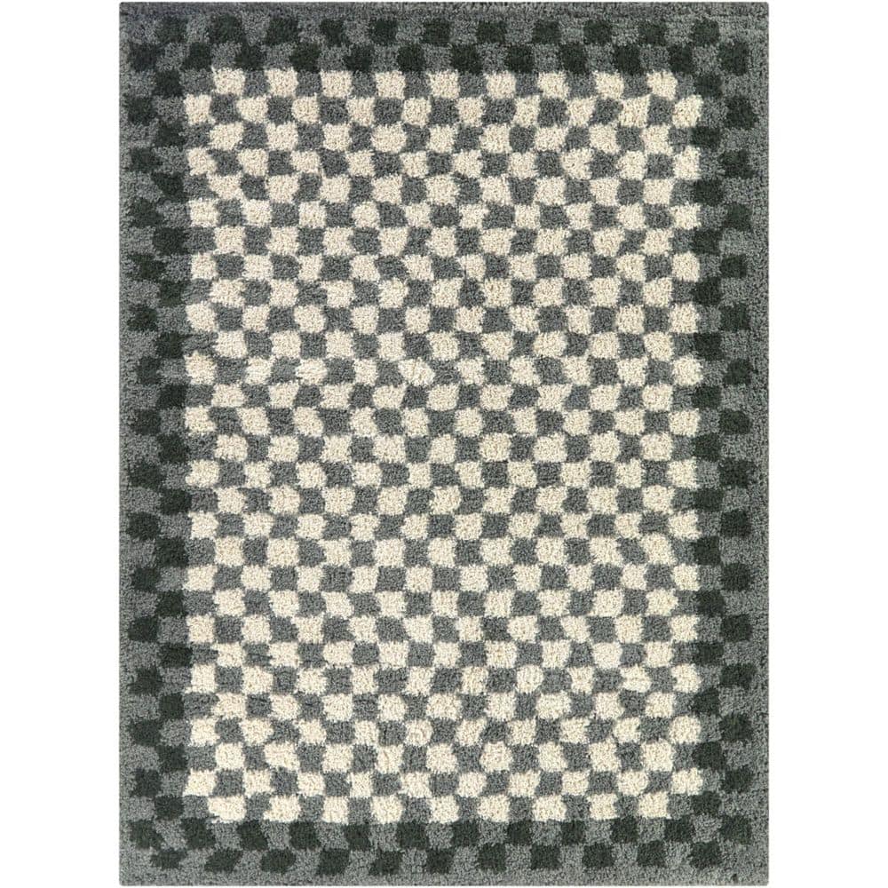 Covey Grey/Green 7 ft. x 9 ft. Checkered Shag Area Rug price history on PriceWatchPro