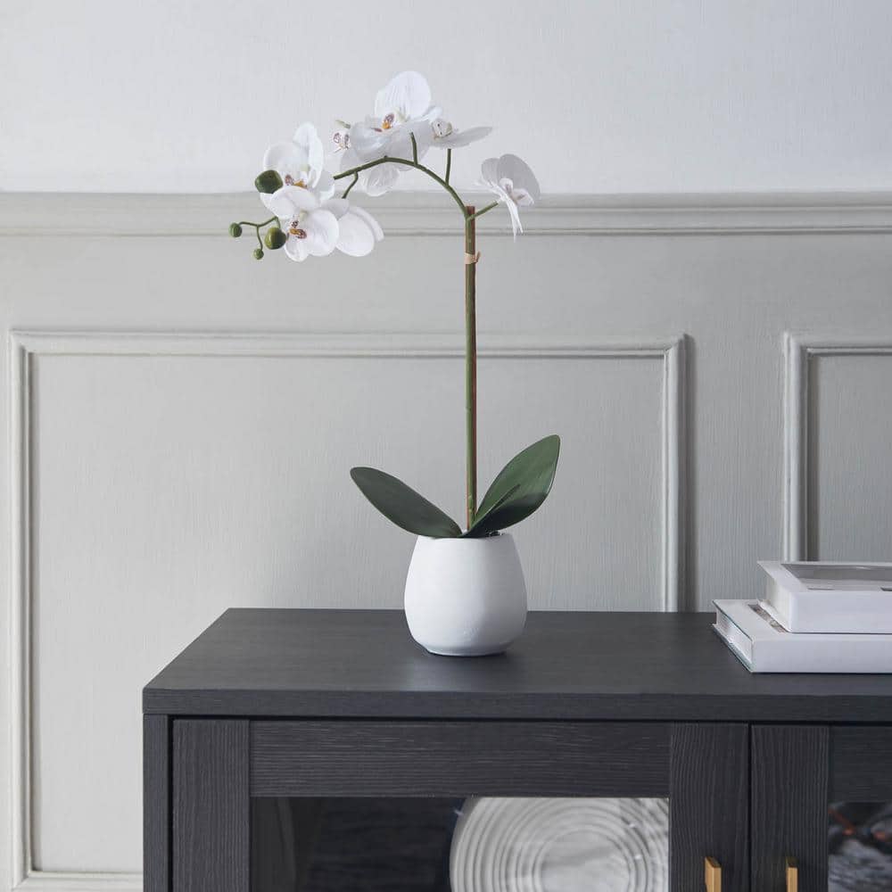 Minimalist Real Touch 17. 5 in. H White Artificial Orchid in Ceramic Pot