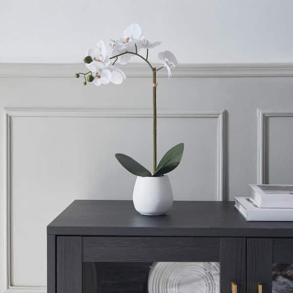 Unbranded Minimalist Real Touch 17. 5 in. H White Artificial Orchid in Ceramic Pot