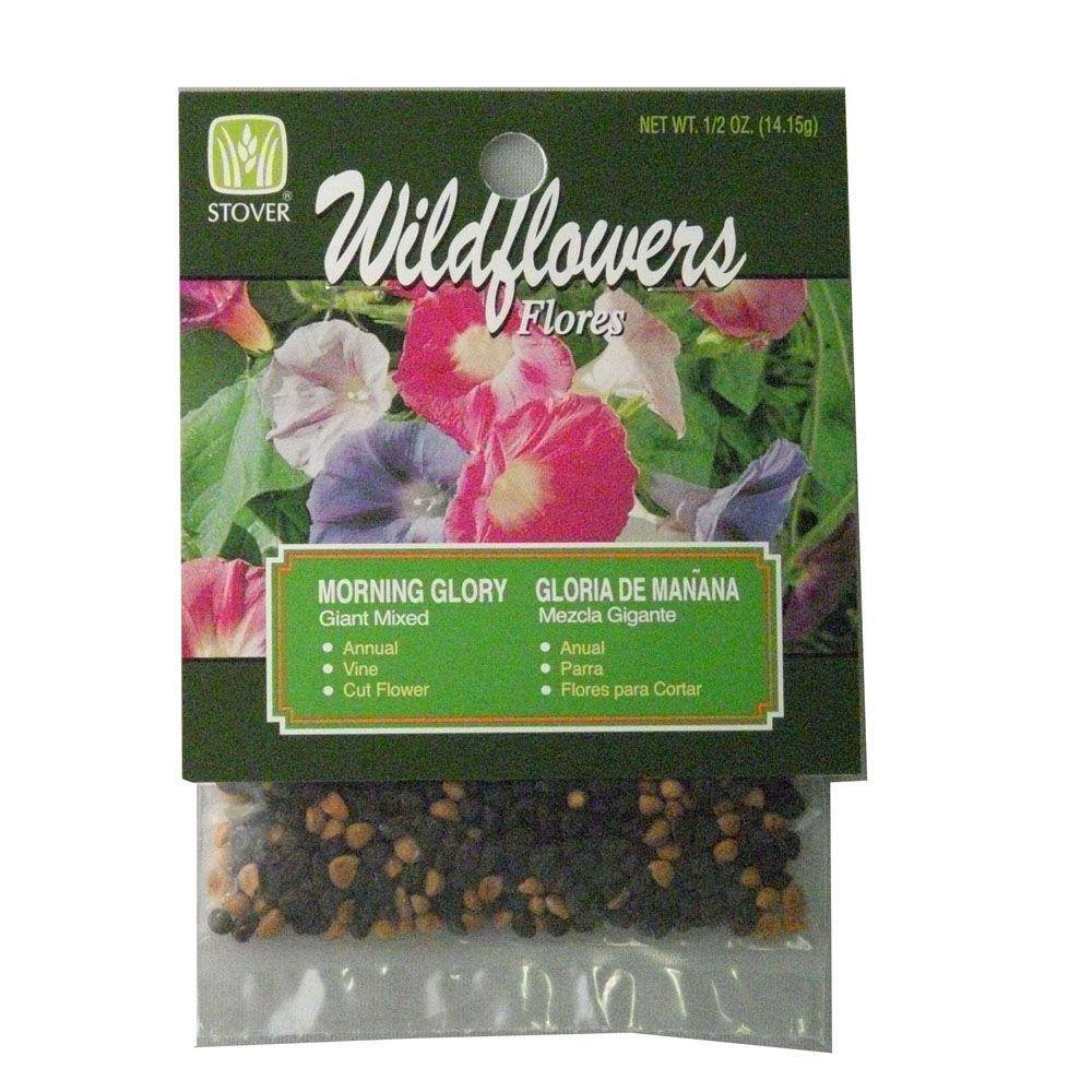 Morning Glory Giant Mix Seed 78042-6 - The Home Depot