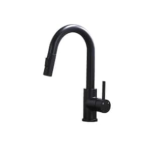 Single Handle Pull Out Sprayer Kitchen Faucet with Dual Function Spray Head Deckplate not Included in Black