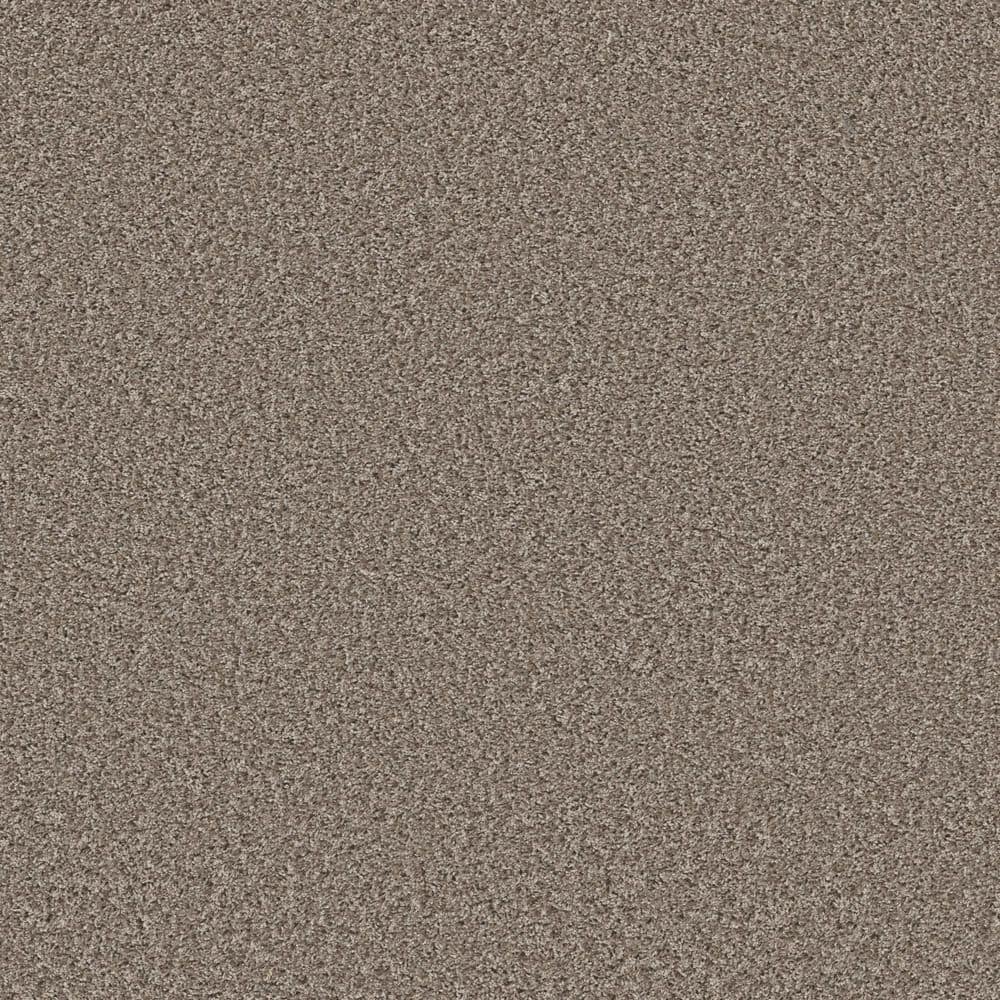 TrafficMaster Charming - Dry Creek - Brown 24 oz. Polyester Twist