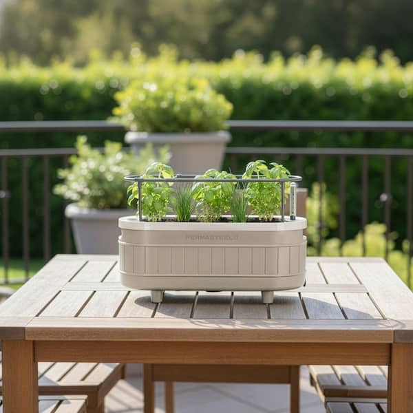 best pot for philodendron birkin Philodendron Birkin