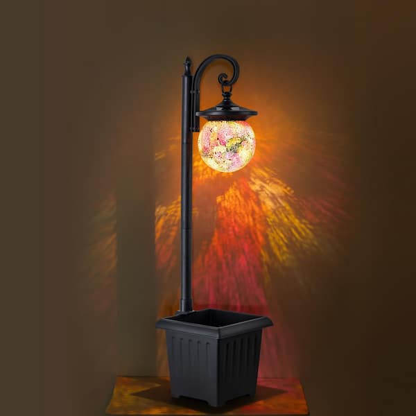 C Cattleya 1-Light Solar Plastic Black LED Outdoor Weather
