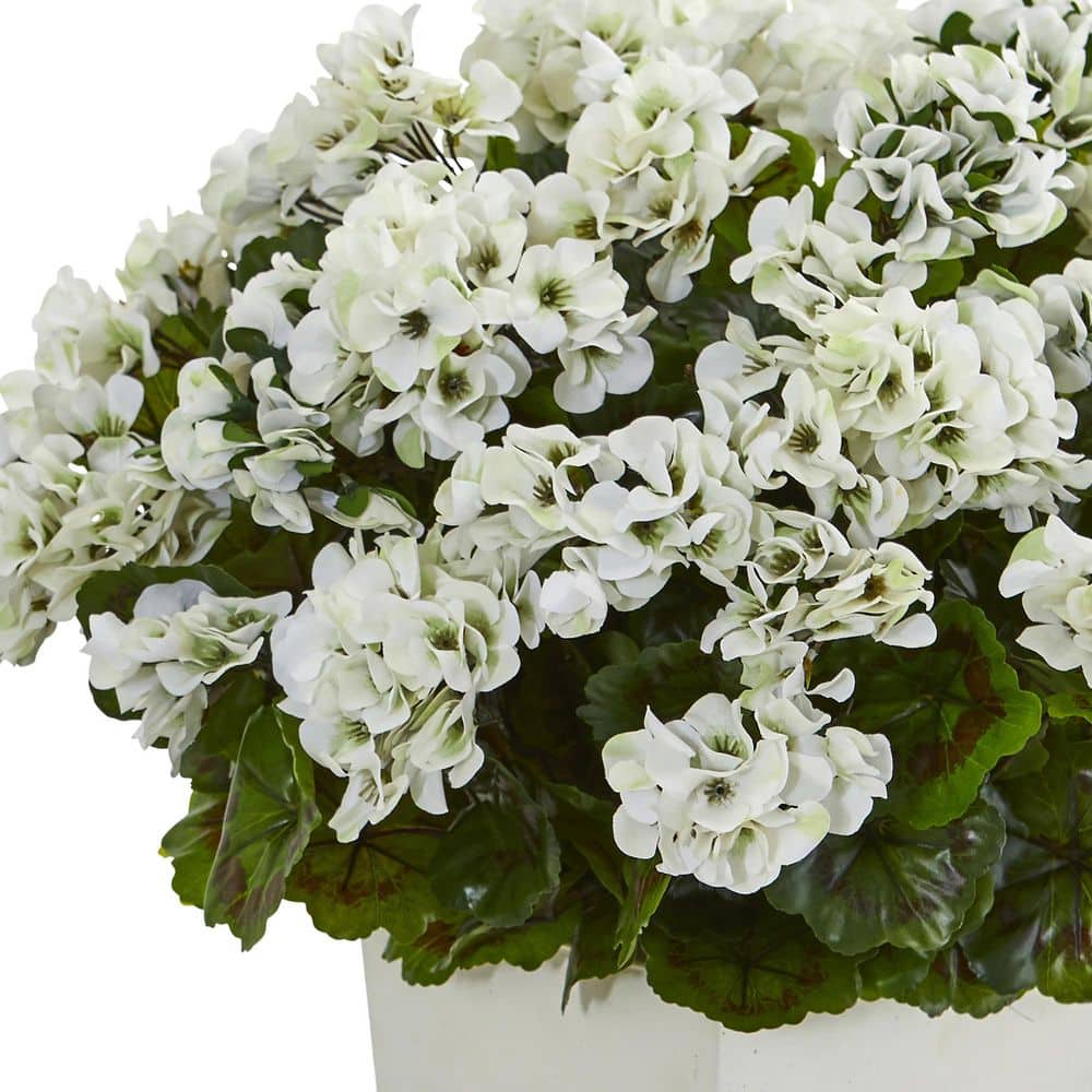 27-Inch White Plastic Potted Cranesbill Arrangement
