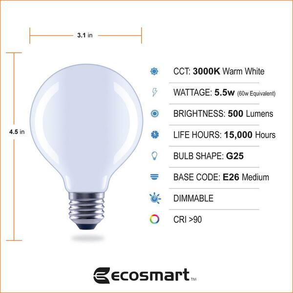 EcoSmart 40-Watt Equivalent G25 Dimmable ENERGY STAR Clear Glass Filament Vintage Edison LED Light Bulb Bright White (3-Pack)