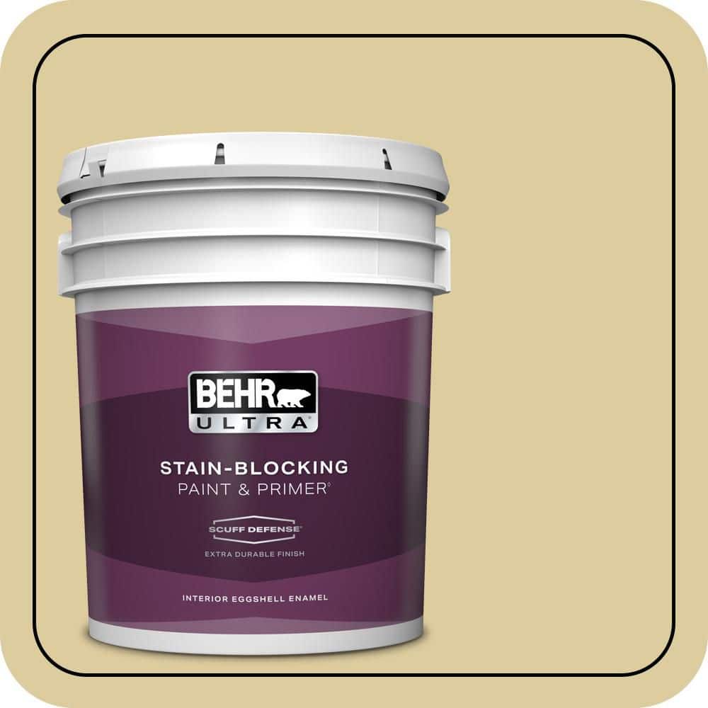 5 gal. #PPU8-11 Mojito Extra Durable Eggshell Enamel Interior Paint & Primer price history on PriceWatchPro