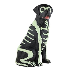 2.5 ft. Glow-In-The-Dark Labrador