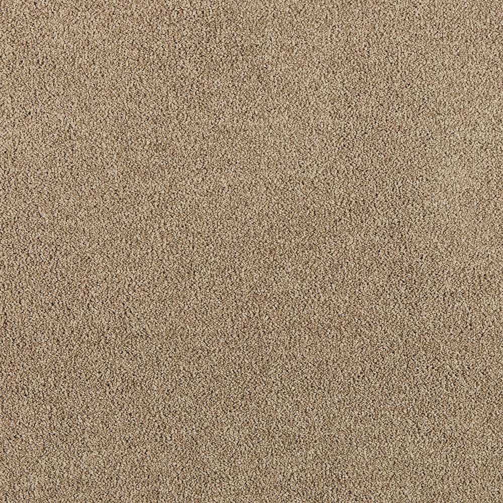 8 in. x 8 in. Texture Carpet Sample - Tailored Trends III -Color Dapper price history on PriceWatchPro
