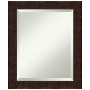 William Mottled Bronze Narrow 20 in. H x 24 in. W Framed Wall Mirror