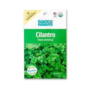 Organic Cilantro/Coriander, Slow Bolting Cilantro Seed (1-Pack)