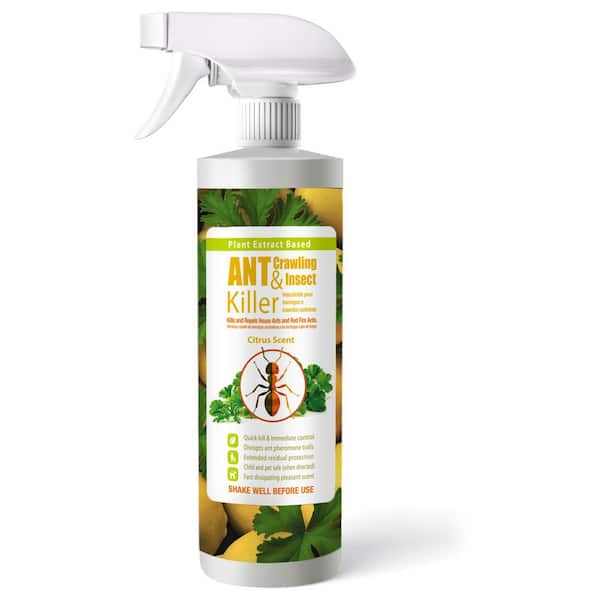 Ant Insect Killer/Repellent by EcoRaider 16 oz., Instant Kill, 4-Week Deterrence, Plant-Based, Child/Pet-Safe
