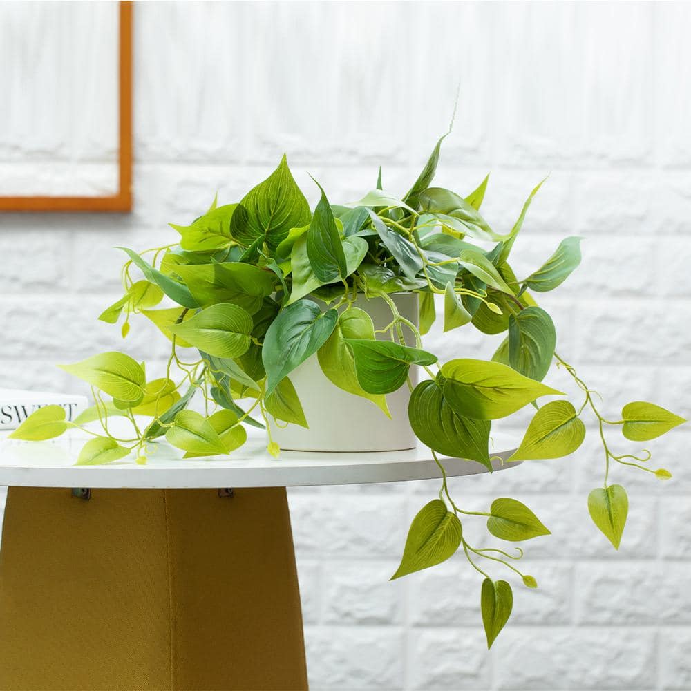 Elegant Potted White Pothos Ivy, 13in Plastic Outdoor Plant