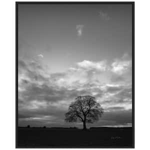 Horizon Tree BW" by Andre Eichman 1 Piece Floater Frame Black and White Nature Photography Wall Art 28 in. x 23 in.