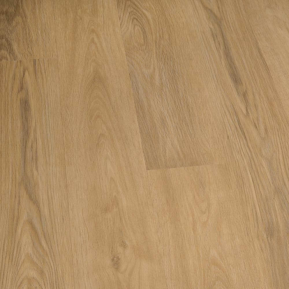 Take Home Sample - French Oak Alturas Loose Lay Waterproof Luxury Vinyl Plank Flooring price history on PriceWatchPro