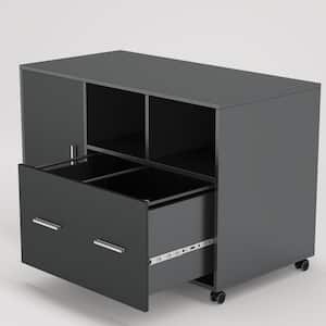 Catherine Black File Cabinet with Lock and Drawer