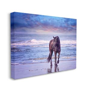 Wild Horse on Beach Colorful Blue Sunset By PHBurchett Unframed Print Animal Wall Art 36 in. x 48 in.