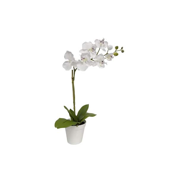 Algreen PRODUCTS 20 in. Artificial Orchid White (5 in. x 4.2 in. H Pot; 20 in. H)