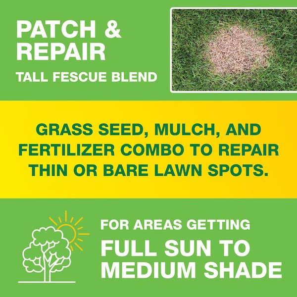10 lbs. Patch and Repair Tall Fescue Grass Seed Mix