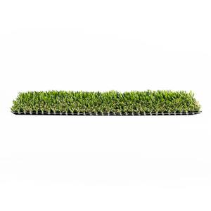 TURF DISTRIBUTORS Eco 94 (1 ft. x 1 ft. Sample Square) Eco 94 Sample ...