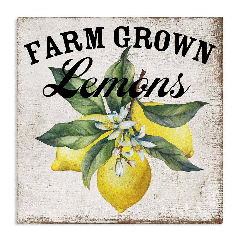 Farm Grown Lemons by Creatif Belle Unframed Food Graphic Art Print 24 in. x 24 in. price history on PriceWatchPro