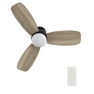 Arran 44 in. Color Changing Integrated LED Indoor Matte Black 10-Speed DC Ceiling Fan with Light Kit and Remote Control