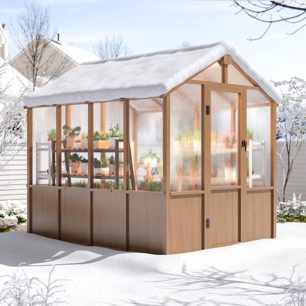 AirWire 6 ft. x 8 ft. Wooden Polycarbonate Greenhouse for Outdoors