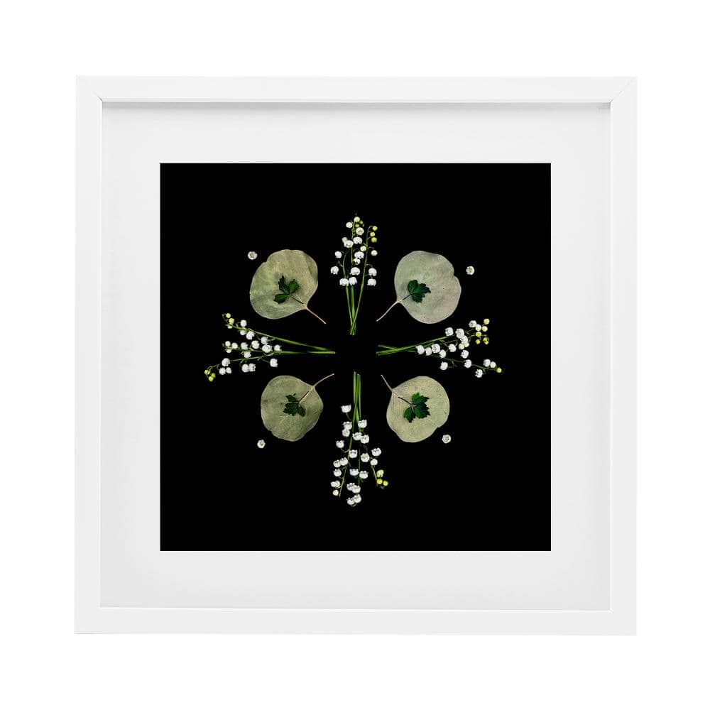 Leaves & Wildflowers on Black White Framed Print Under Glass, design by Beth Adoette price history on PriceWatchPro
