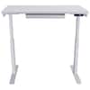 Motionwise 121.92 cm × 60.96 cm (48 in. × 24 in.) Electric Height Adjustable  Standing Desk with Antibacterial Desk Top, White