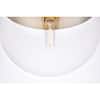 brass-with-clear-glass-shade-pendant-lights-lvn12098brass-fa.5