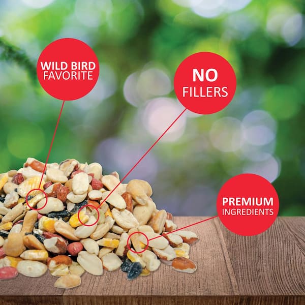 What Do Feathers Do?  Lyric Wild Bird Food