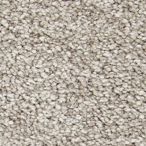 8 in. x 8 in. Texture Carpet Sample - Gentle Peace II -Color Studio