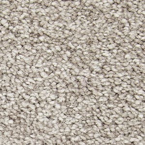 Gentle Peace II  - Studio - Beige 55 oz. Triexta Texture Installed Carpet