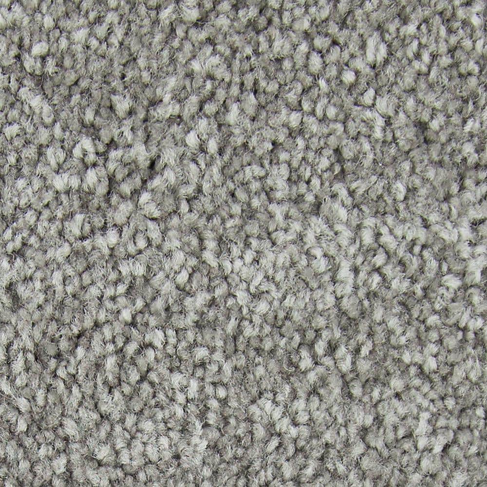 8 in. x 8 in. Texture Carpet Sample - Gentle Peace II -Color Dreamland price history on PriceWatchPro