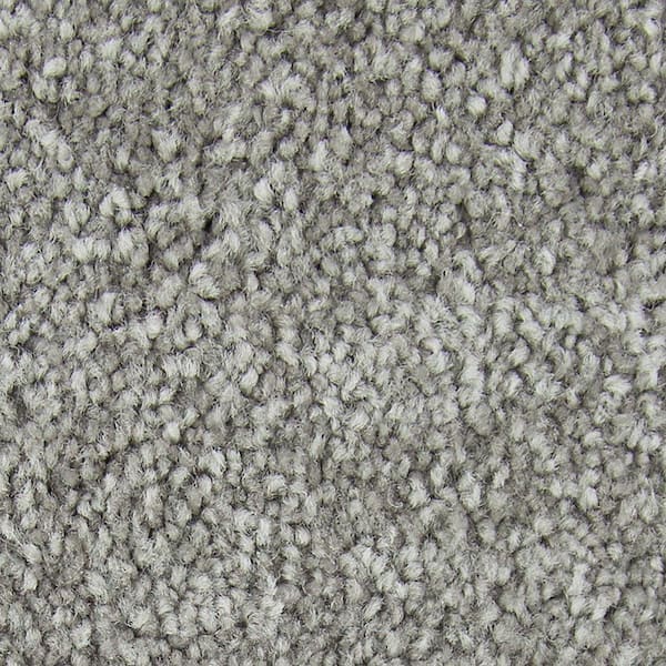 Lifeproof with Petproof Technology Gentle Peace II  - Dreamland - Gray 55 oz. Triexta Texture Installed Carpet