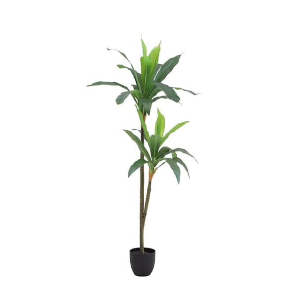 phoenix DECOR The Mod Greenhouse 50 in. Artificial Dracaena Tree in 5.5 in. Plastic Pot (29 Leaf) in.