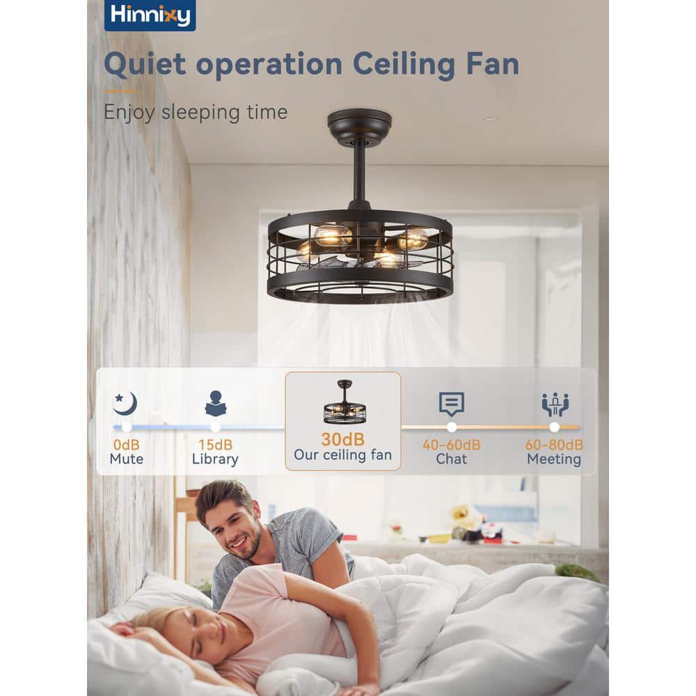 16.5" Matte Black Industrial Caged Ceiling Fan with Light and Remote