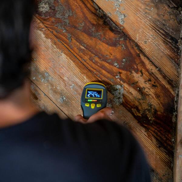 Wood Oisture Eter, DURFICST Pinless Oisture Eter With Colour LCD Display And Audible Alar