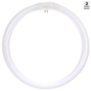 12 in. 32-Watt Circline T9 Fluorescent Tube Light Bulb, Warm White 3000K (2-Pack)