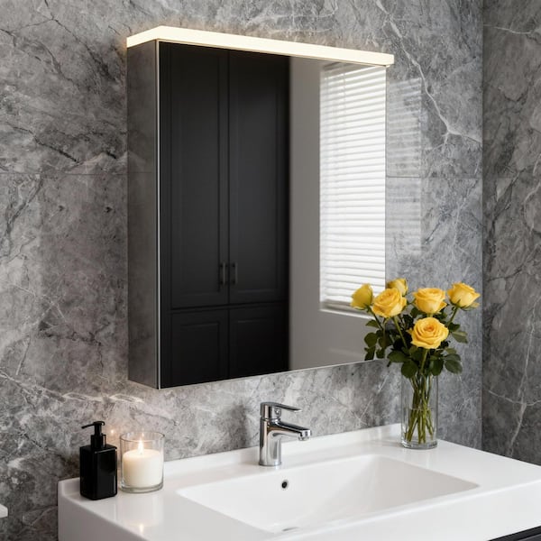 20 in. W x 28 in. H Rectangular Surface Mount LED Medicine Cabinet with Mirror Adjustable Shelves and Hidden Hinges