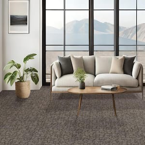 Painted Picture - Hematite-Gray 12 ft. 45 oz. Triexta PET Pattern Installed Carpet