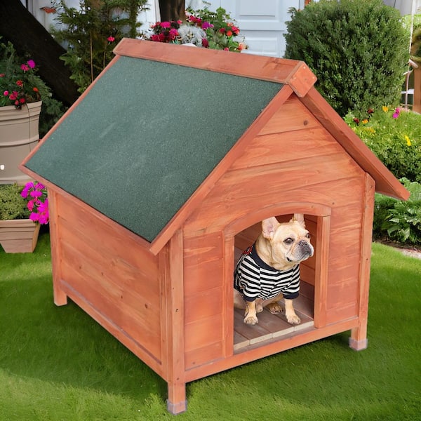 Outdoor wooden hotsell dog kennels