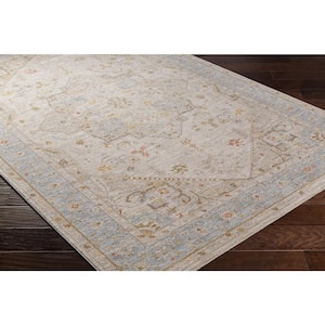 Avant Garde Gray Traditional 7 ft. x 10 ft. Indoor Area Rug